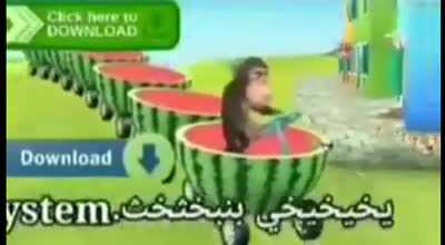 monkey