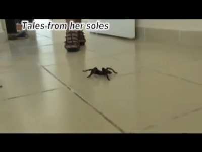 Tarantula