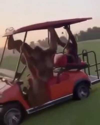 Just cruisin