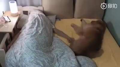 Doesn&rsquo;t matter how big the bed is, the problem will be the same.