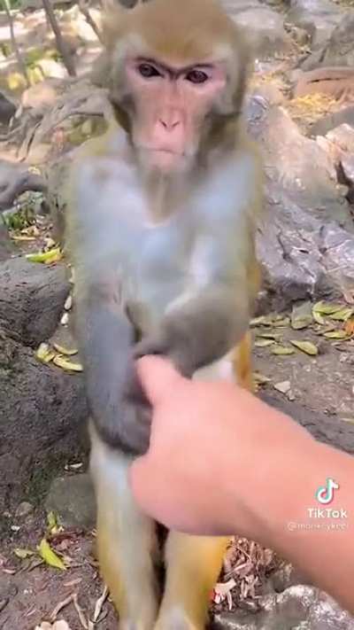 😠😠😠😠