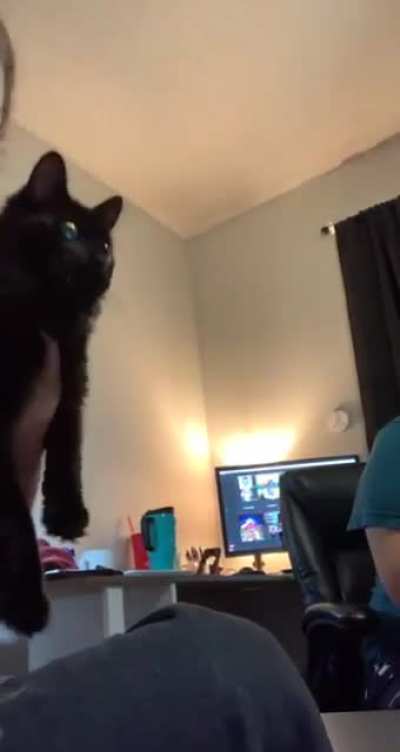 Cat chattering brings me nightmares