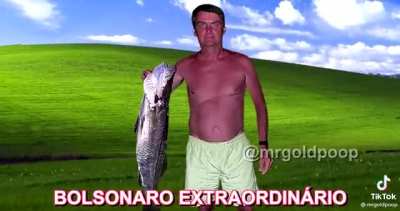 Grupies mas todo mundo teve um avc