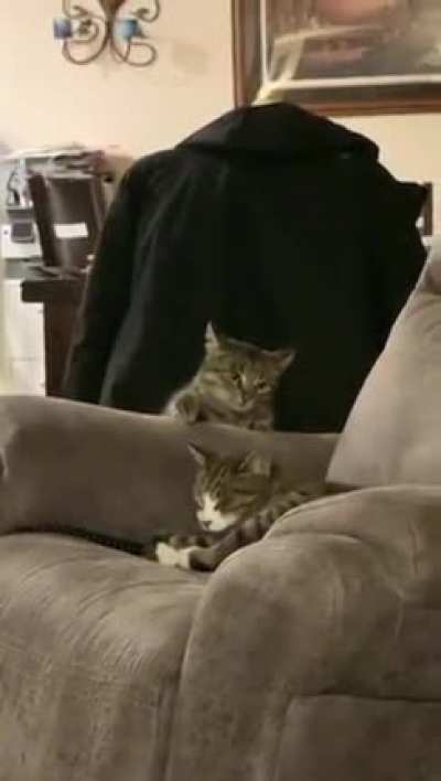 Maybe Maybe Maybe