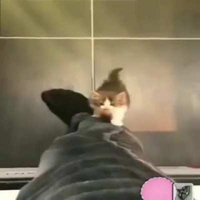 Gatino