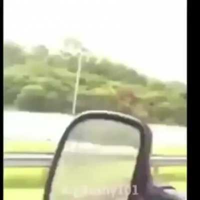 Isso &eacute; uma obra prima