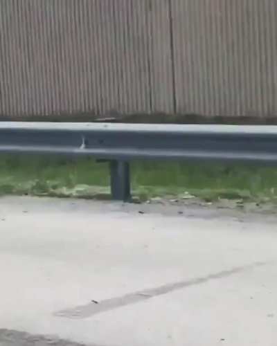 Meanwhile in Florida