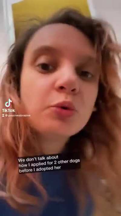 Cutest dog