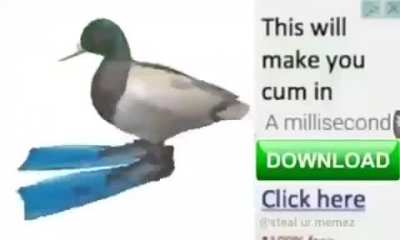 Best site ever