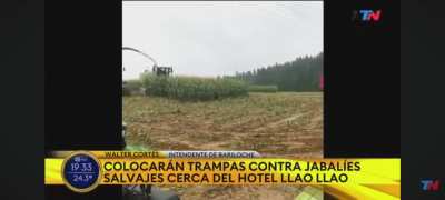 Sofía Kotler periodista de TN se horroriza en vivo