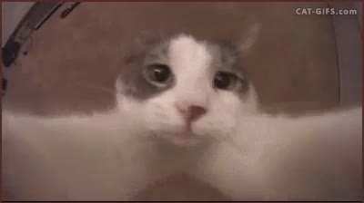 Yo cuando rubius se acerca a la camara