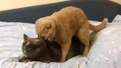 The miracle of life