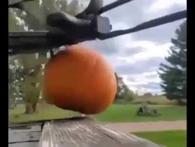 Insane!