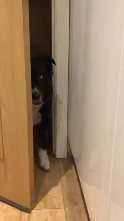 Doors part 2 !