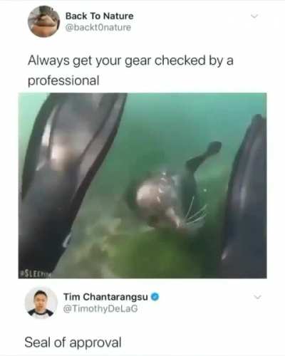 Seal of Approval