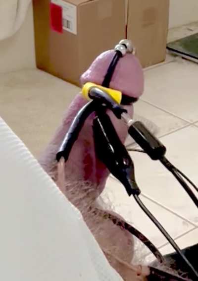 Sit back, let the electricity do all the work, and enjoy