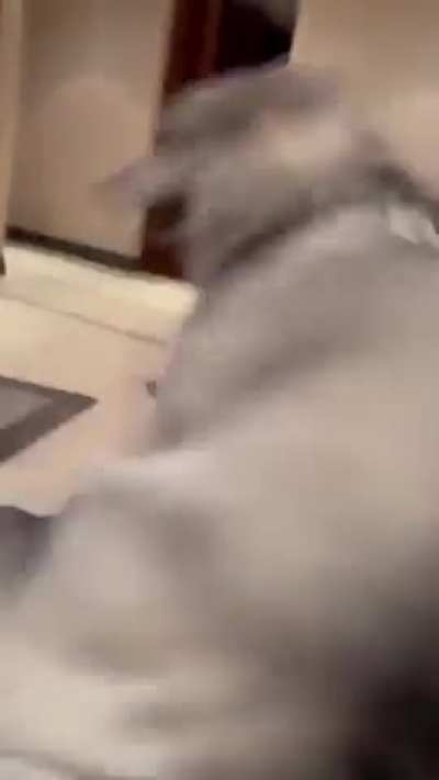 Where to turn off the button?