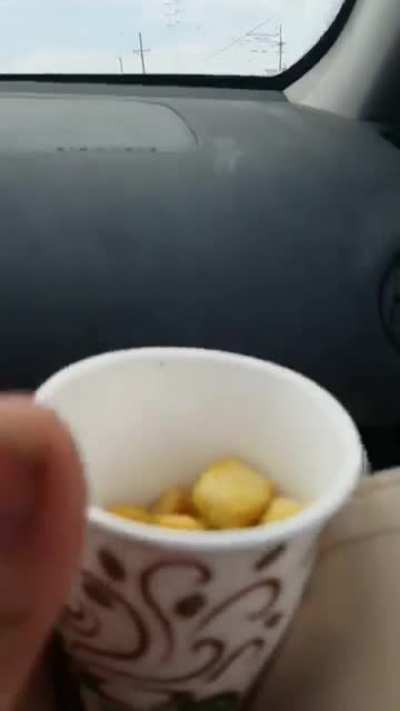 Croutons