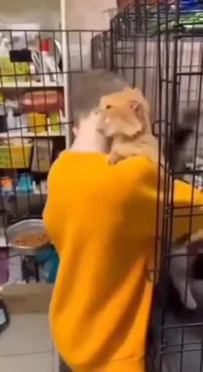 A guy came to a shelter to choose a cat, but the cat chose him first. 🐱