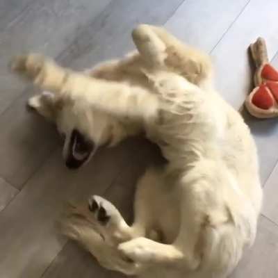 "I can't reach it, I can't reach it, I can't reach it, I can-"