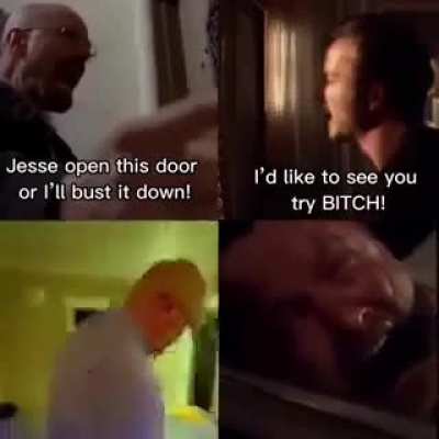 rule