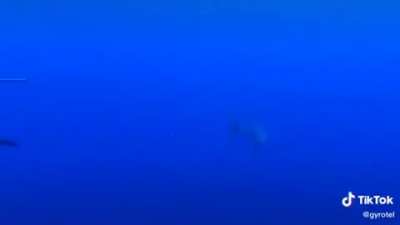 You never know what's lurking beyond your view..