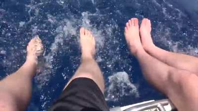 who's steering the boat?