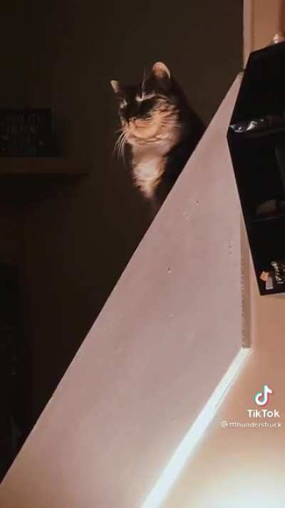 It&rsquo;s over. He has the high ground.