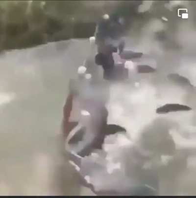 Phishing
