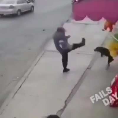 HMFT after I kick this dog&hellip;
