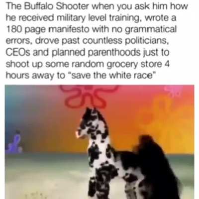 🦍