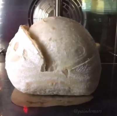 AAAAAAAAAAAAAA
