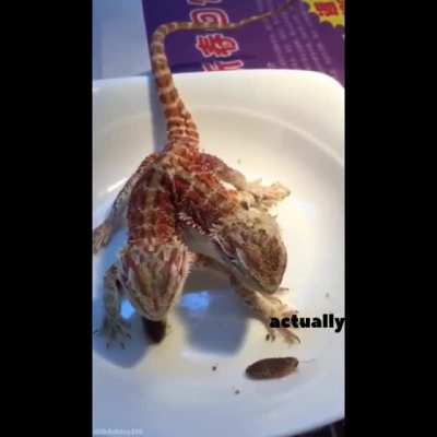 Sharing a meal