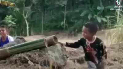 what could go wrong