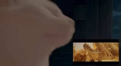 Watching the credits be like...