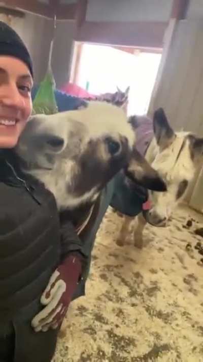 Любовь это...