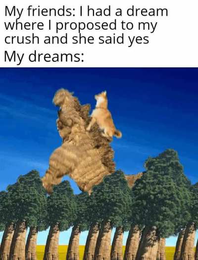 Lucid dreams btw