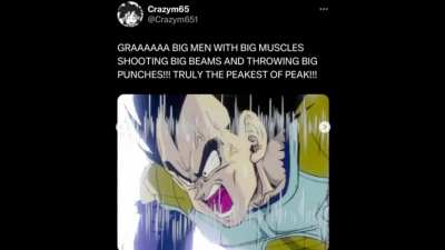 Ah yes, the average Dragon Ball fan&hellip;