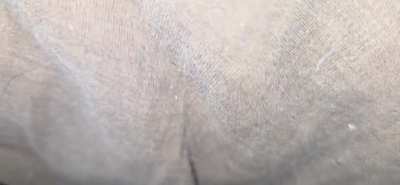Bedtime fart