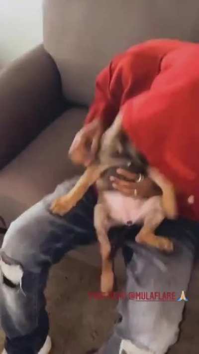 I&rsquo;m sure many of you have seen the video of the racist woman that threw a dog at a young black man. The cries of the dog were heartbreaking. However, the good news is that the young man has decided to adopt the dog and she is doing well. Here she is safe 