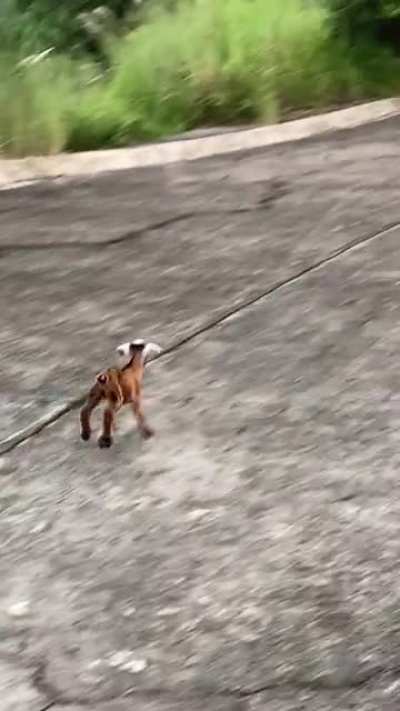 A family reunited