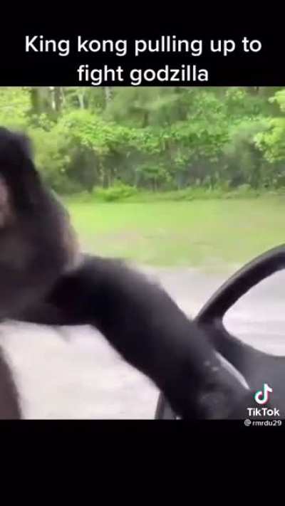 Monke forever