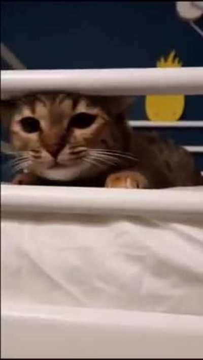 Ooooops