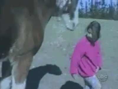 WCGW if I slap this horse.
