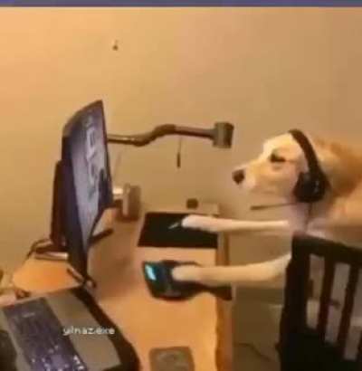 Me irl