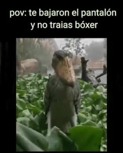 😢
