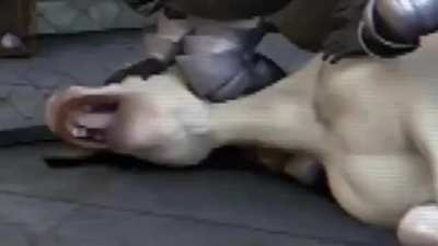 He did the Floyd