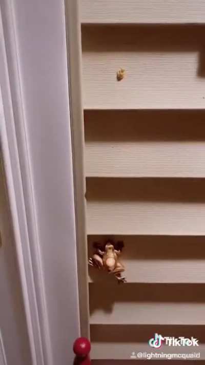 Perfectly cut leap frog
