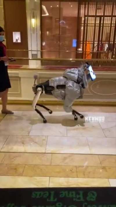 Just walking my dog