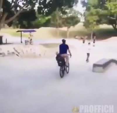 Father of the year